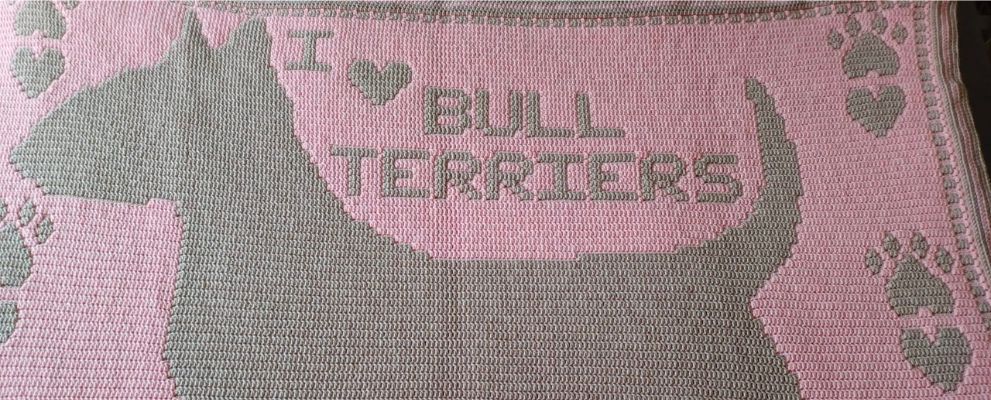 I Love Bull Terriers