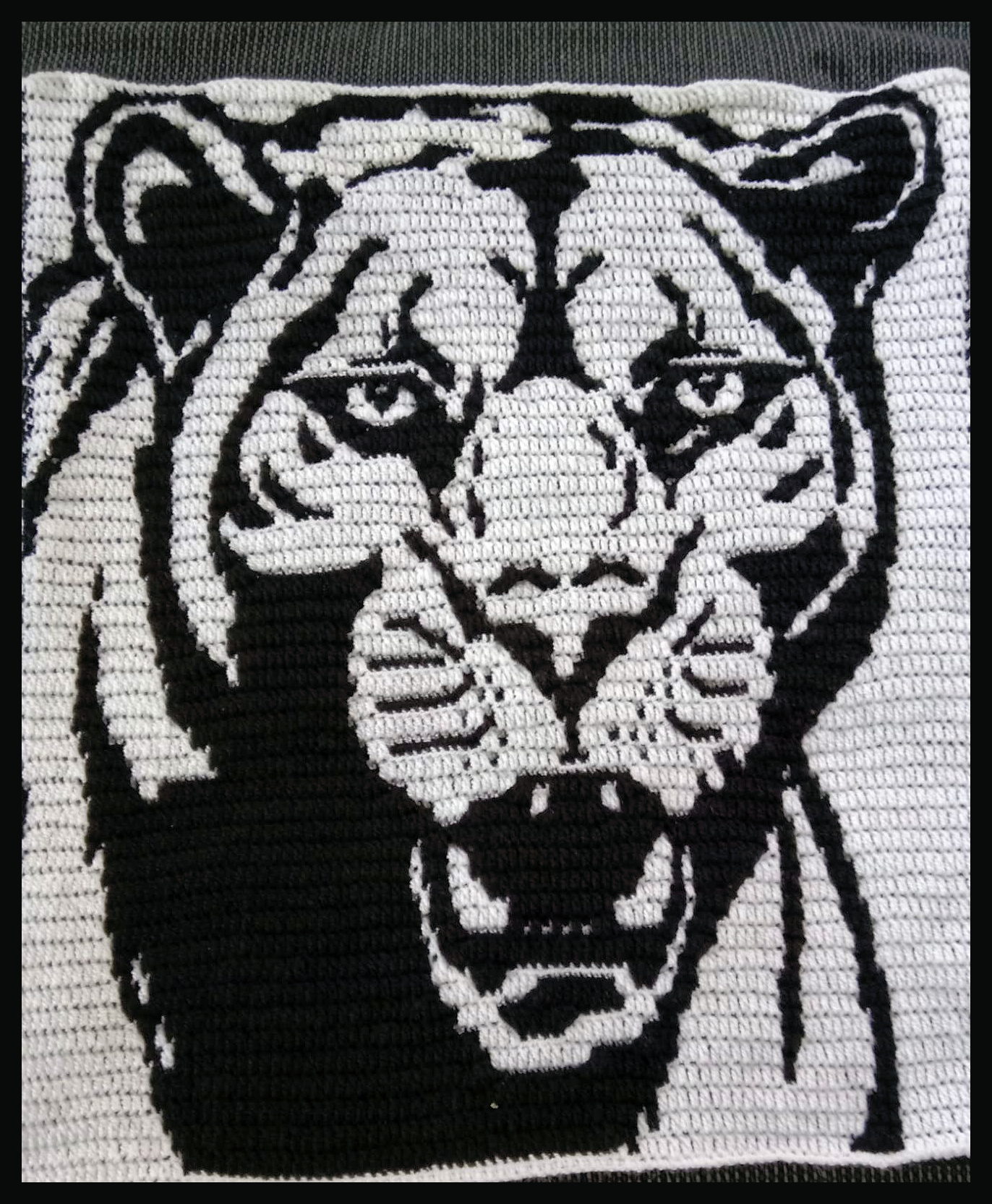 Mosaic black Panther pattern