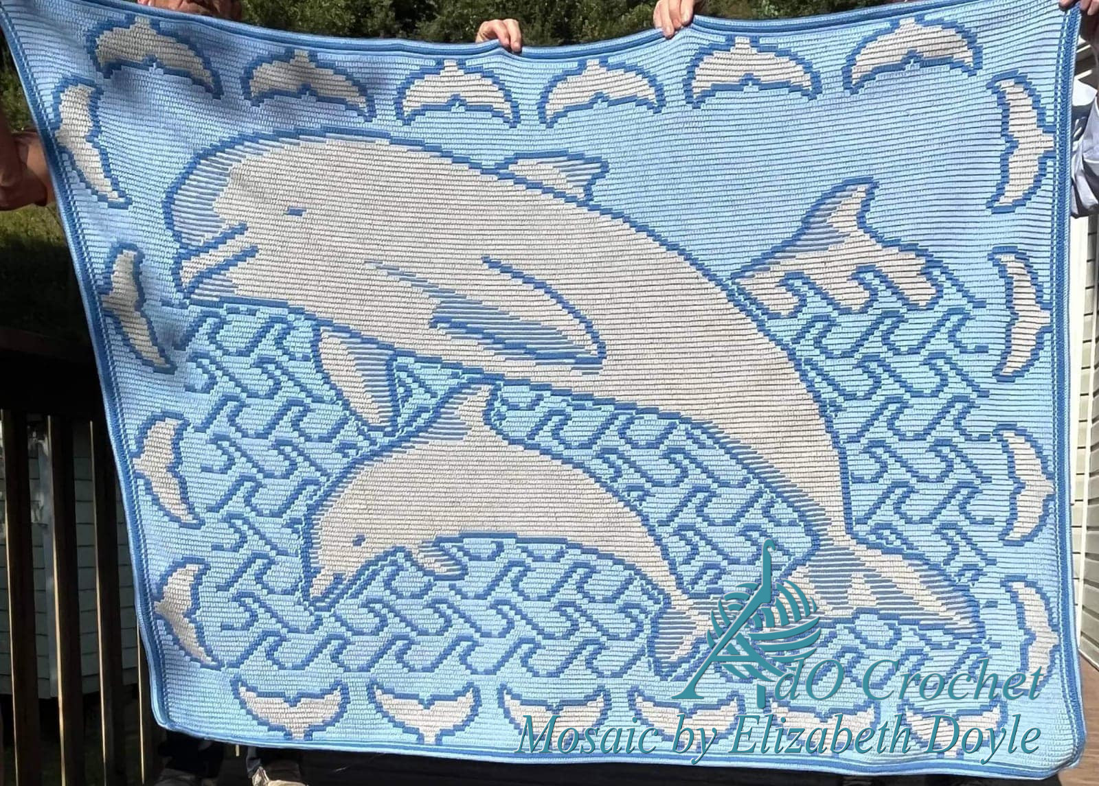 Dolphins pattern